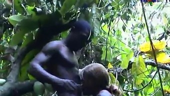 Medzirasové Stretnutie S Africkou Kráskou Sauvage 4